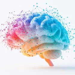 A colourful brain and connections