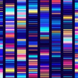 DNA sequencing genetic screening test strip