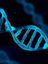 A DNA helix
