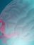 The Neurogenetics and Dementia Research Group - DNA and a brain graphic