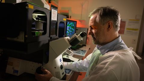Microscopy
