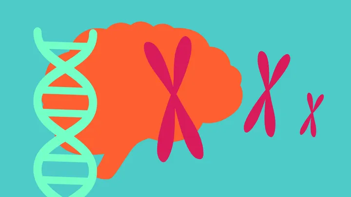 Genes and mental illness: The potential of genetic discoveries to deliver better treatments