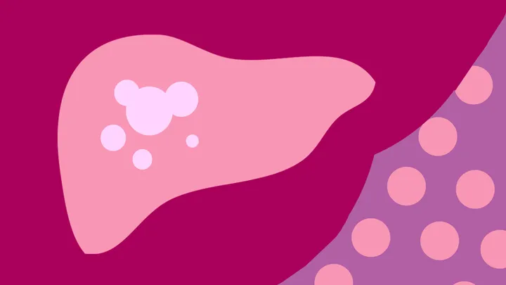 The liver: Its super power, its Achilles heel and the science on liver detoxing