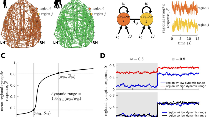 The Clinical Brain Networks Group - image 2