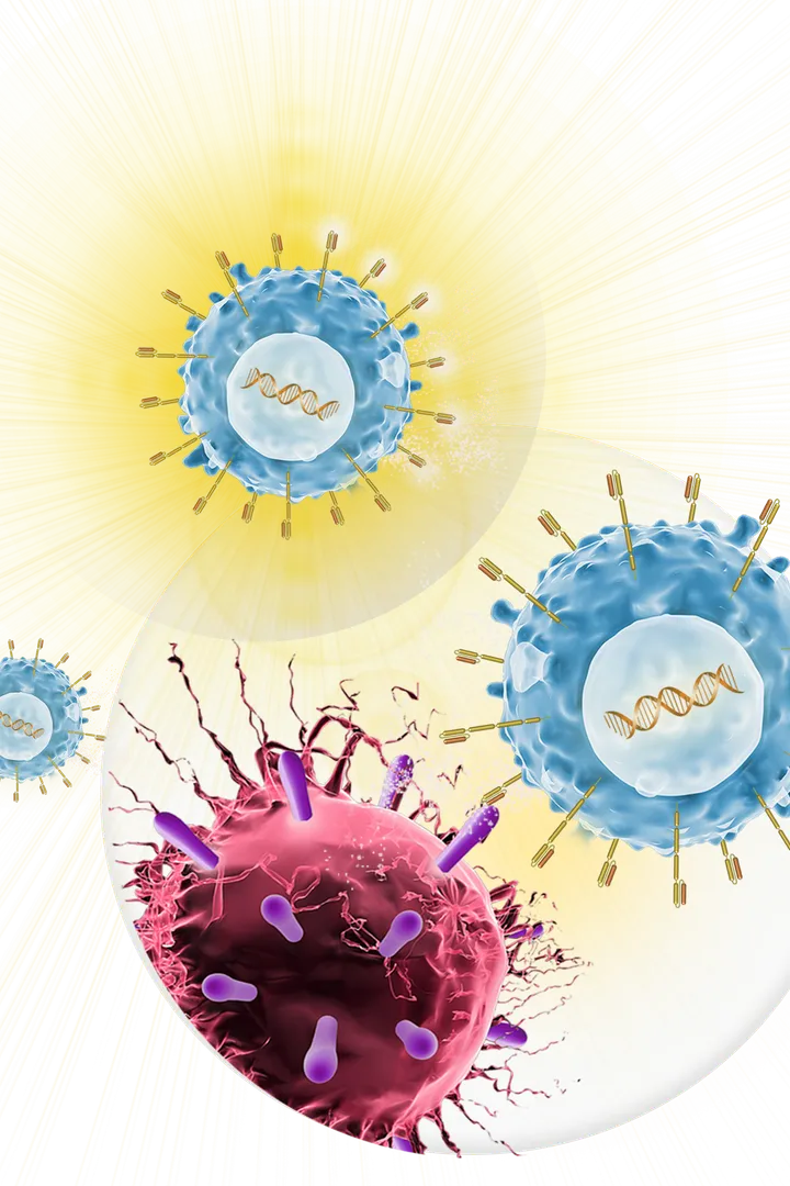 CAR T-Cells attack a cancer cell.