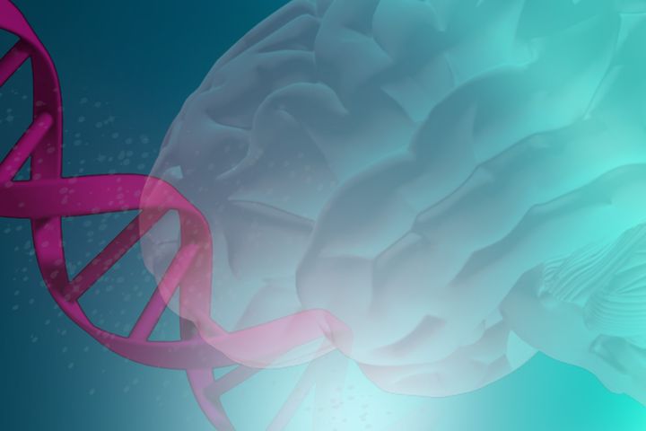The Neurogenetics and Dementia Research Group - DNA and a brain graphic