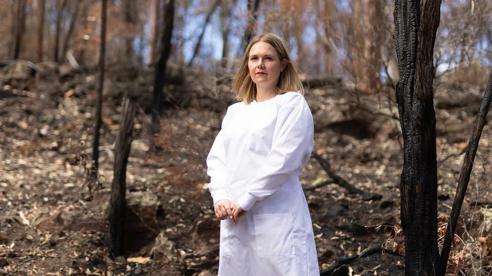 Funding needed to study potential link between bushfire smoke and dementia