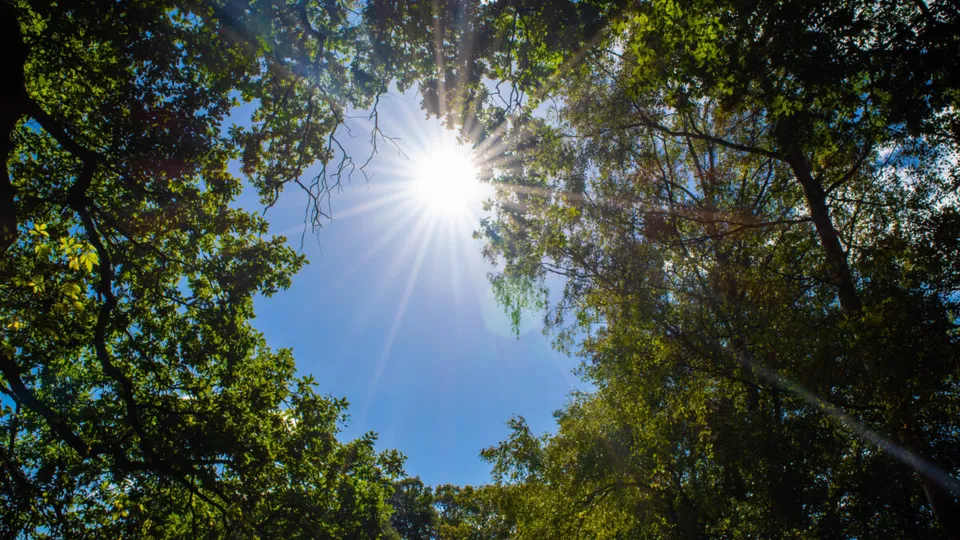 New sun safety advice tailored for Australia’s diverse population