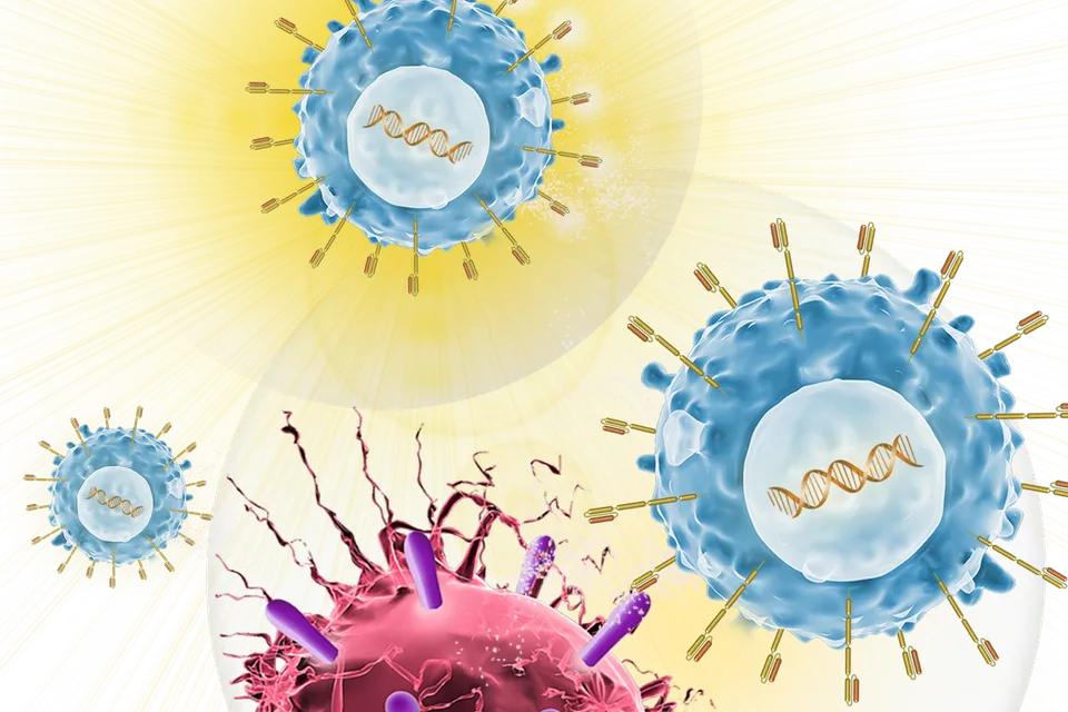 CAR T-Cells attack a cancer cell.